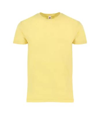 "Adult Soft Style Short Sleeve T-Shirts – 100% Ring-Spun Cotton, Retail Fit"