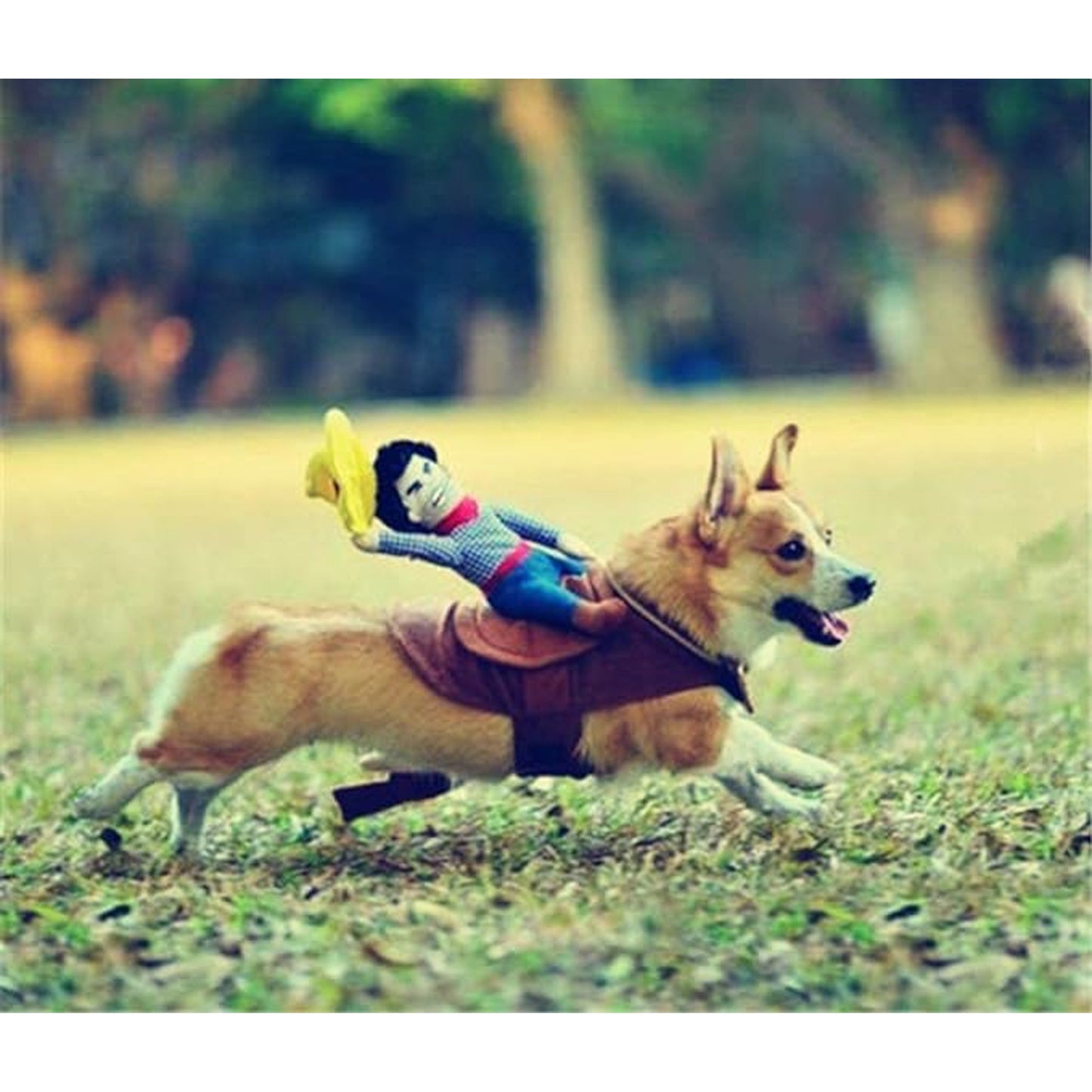 Riding Cowboy Funny Novelty Halloween Dog Costume For Small Dogs - NoveltiesMart.com Wholesale