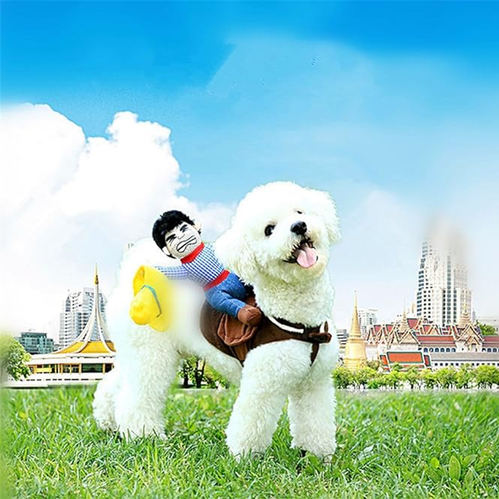 Riding Cowboy Funny Novelty Halloween Dog Costume For Small Dogs - NoveltiesMart.com Wholesale