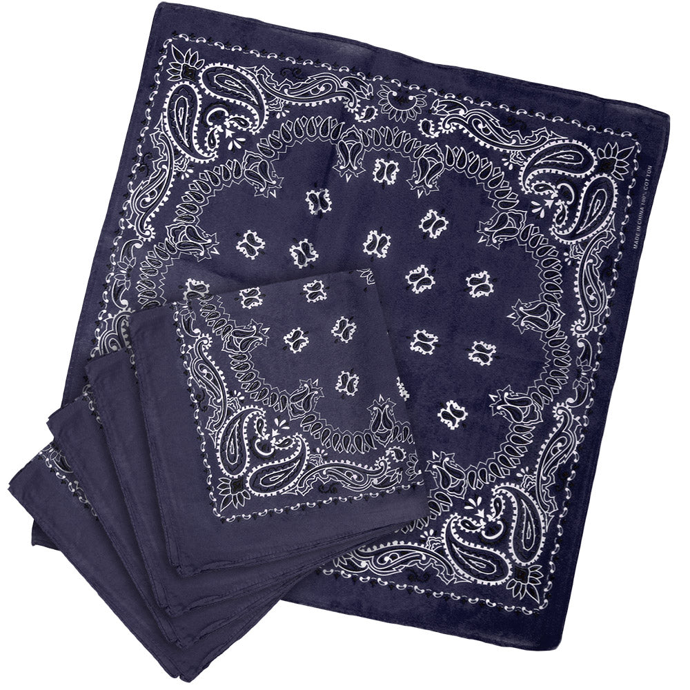 Blue Paisley Bandanas 18" (DZ)