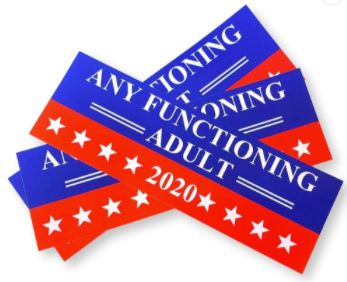 Adult Political Election Bumper Sticker - 9" x 3" Sticker - Wholesale - NoveltiesMart.com Wholesale